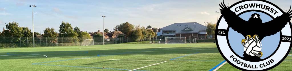 Hailsham Community College 3G